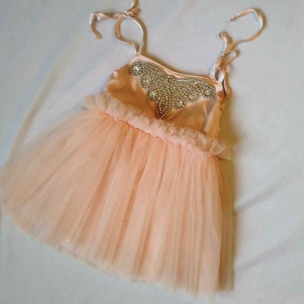 Toddler Girl Light Pink Butterfly Tutu Dress - Picture 4 of 4